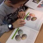 Uczniowie podczas zajęć czytelniczych